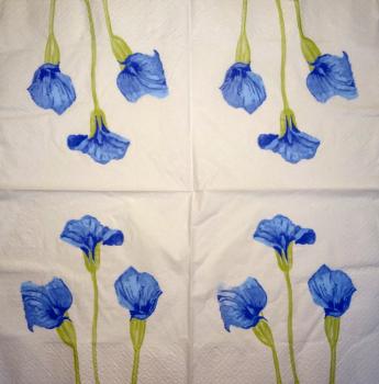 035 Calla - 3-ply
